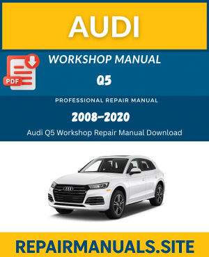 Audi Q5 Workshop Repair Manual Download