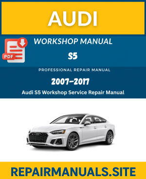 Audi S5 Workshop Service Repair Manual Download (2007–2017)